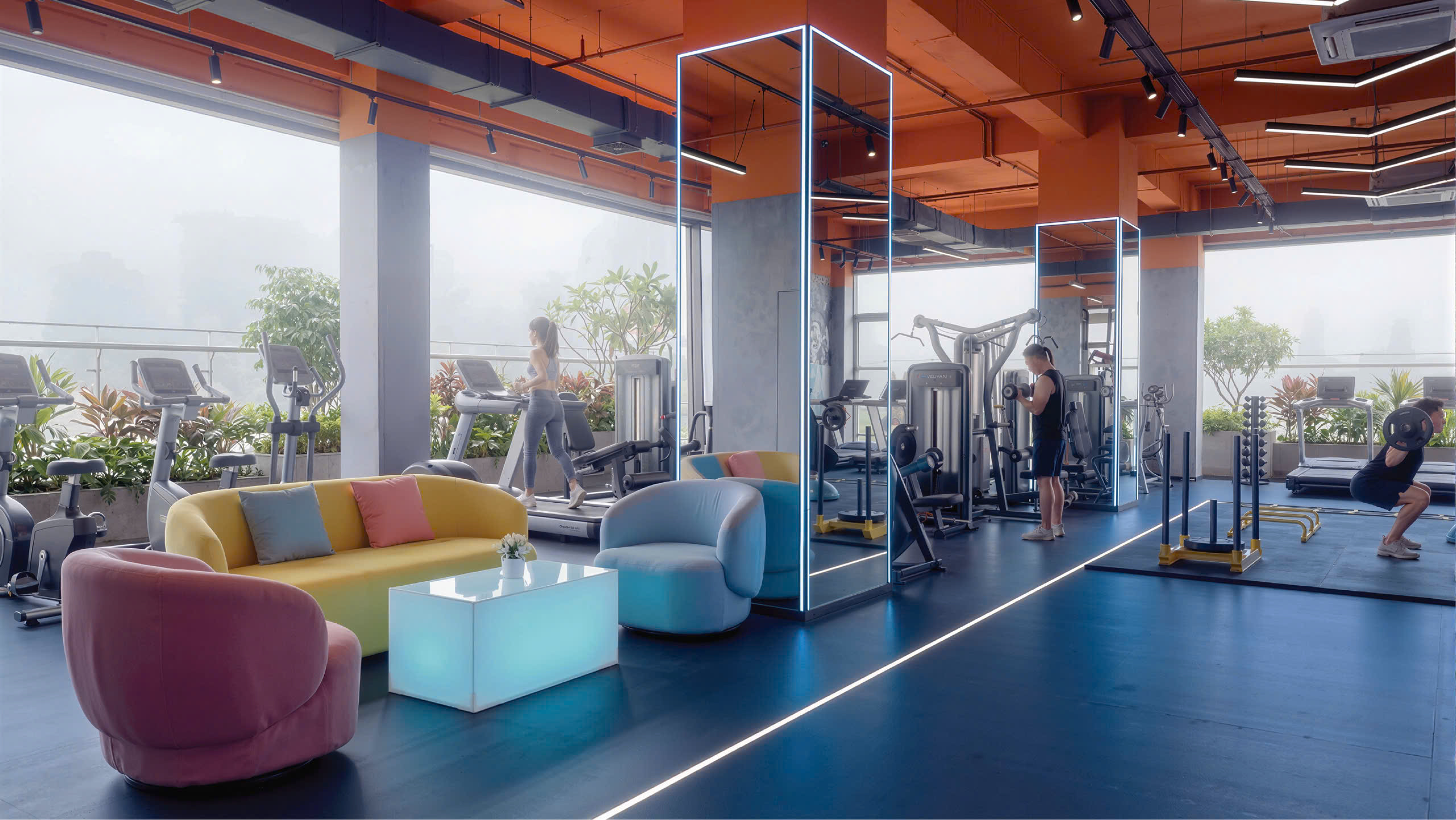 498187237889912306(1)